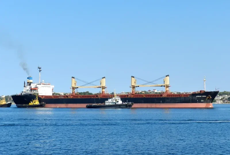 TRADELINK Bulk Carrier IMO 8315920 photo 4