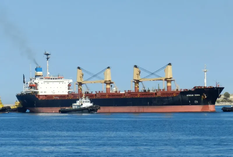 TRADELINK Bulk Carrier IMO 8315920 photo 5