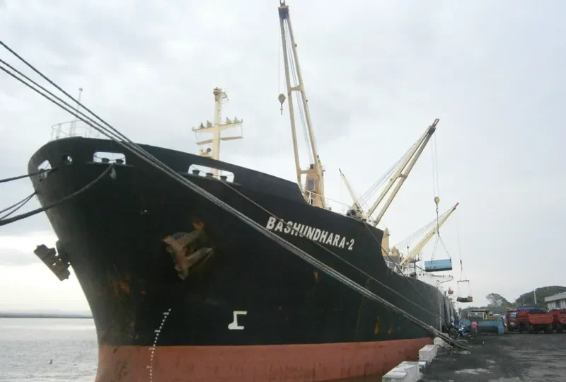 BASHUNDHARA 2 Bulk Carrier IMO 8316223