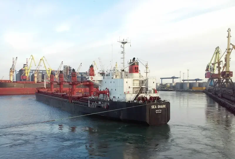 SEA SHARK Bulk Carrier IMO 8316338