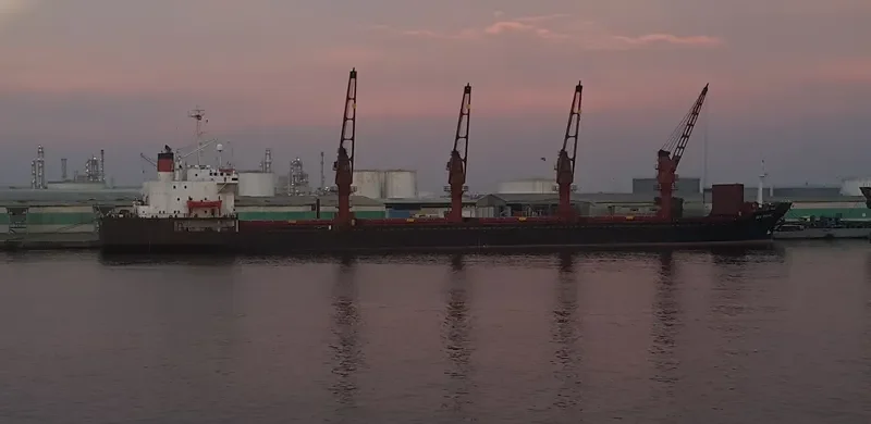 SEA SHARK Bulk Carrier IMO 8316338 photo 2