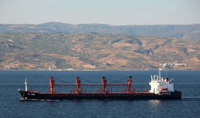 SEA SHARK Bulk Carrier IMO 8316338 photo 3