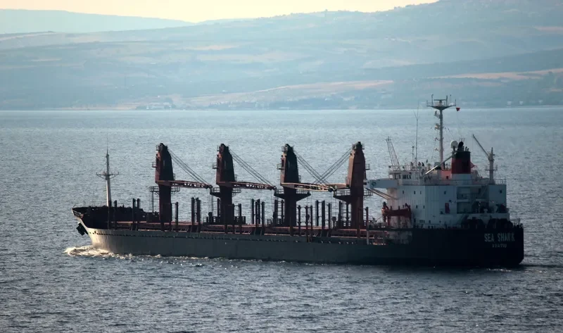 SEA SHARK Bulk Carrier IMO 8316338 photo 4