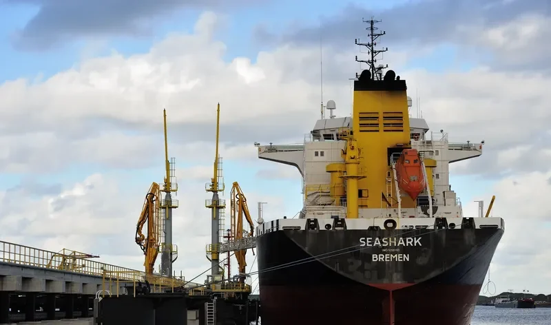 SEA SHARK Bulk Carrier IMO 8316338 photo 5