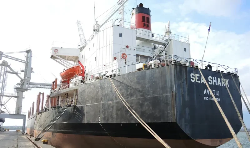 SEA SHARK Bulk Carrier IMO 8316338 photo 6