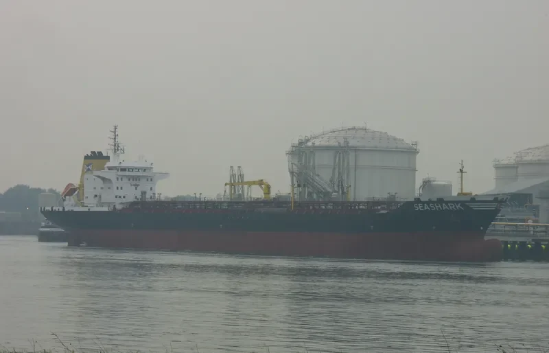 SEA SHARK Bulk Carrier IMO 8316338 photo 7