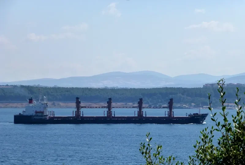 SEA SHARK Bulk Carrier IMO 8316338 photo 8