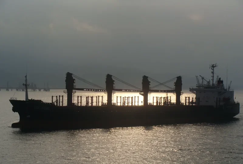 SEA SHARK Bulk Carrier IMO 8316338 photo 9