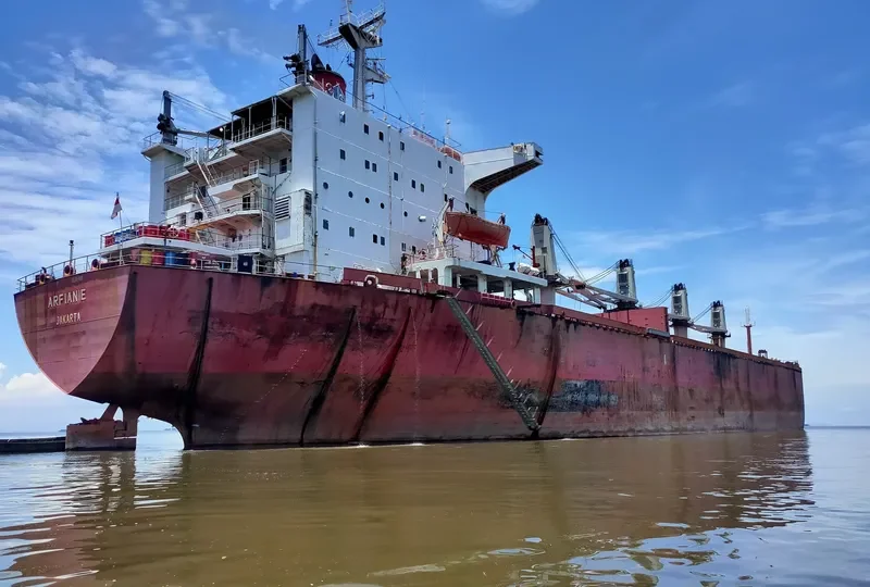 ARFIANIE Bulk Carrier IMO 8316481