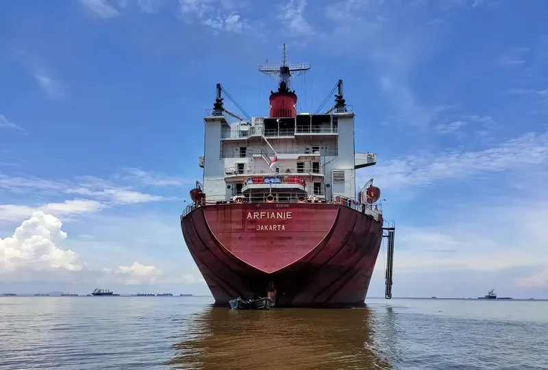 ARFIANIE Bulk Carrier IMO 8316481 photo 2