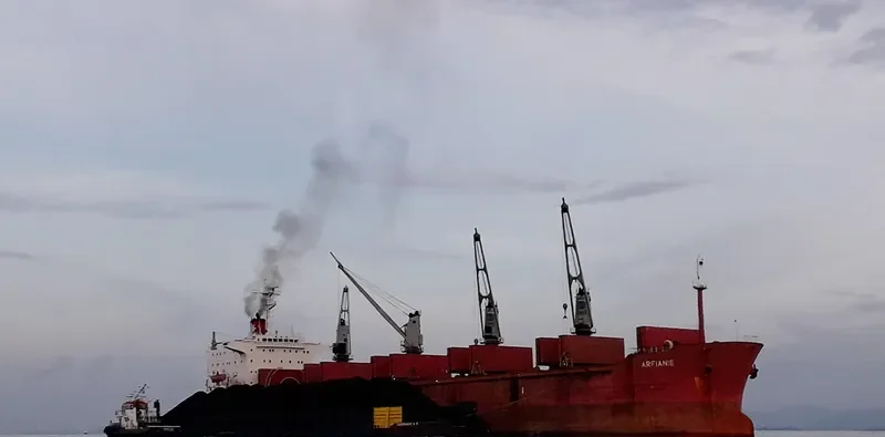 ARFIANIE Bulk Carrier IMO 8316481 photo 3