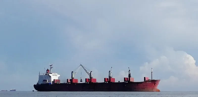 ARFIANIE Bulk Carrier IMO 8316481 photo 4