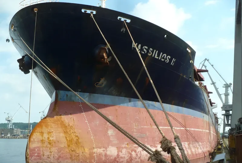 VASSILIOS II Bulk Carrier IMO 8316596 photo 2
