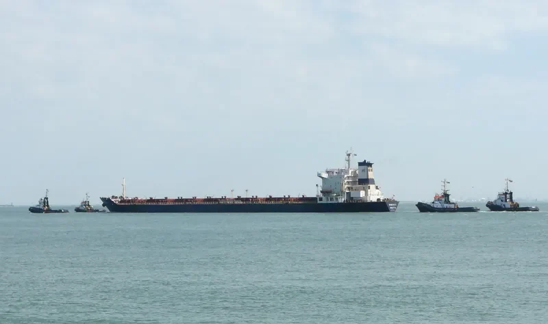 VASSILIOS II Bulk Carrier IMO 8316596 photo 4