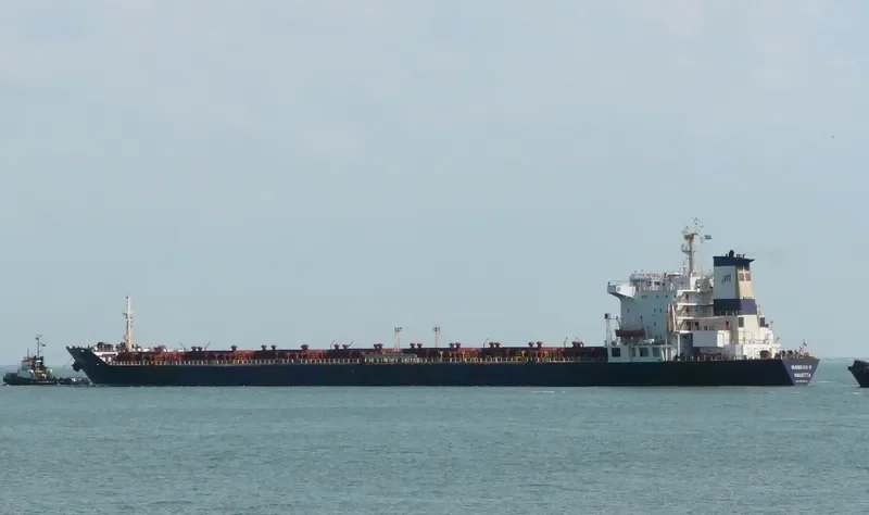 VASSILIOS II Bulk Carrier IMO 8316596 photo 5