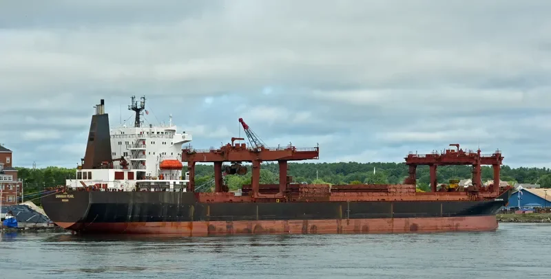 SAVANNAH PEARL General Cargo IMO 8316699 photo 4