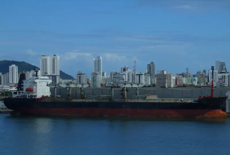 SAVANNAH PEARL General Cargo IMO 8316699 photo 5