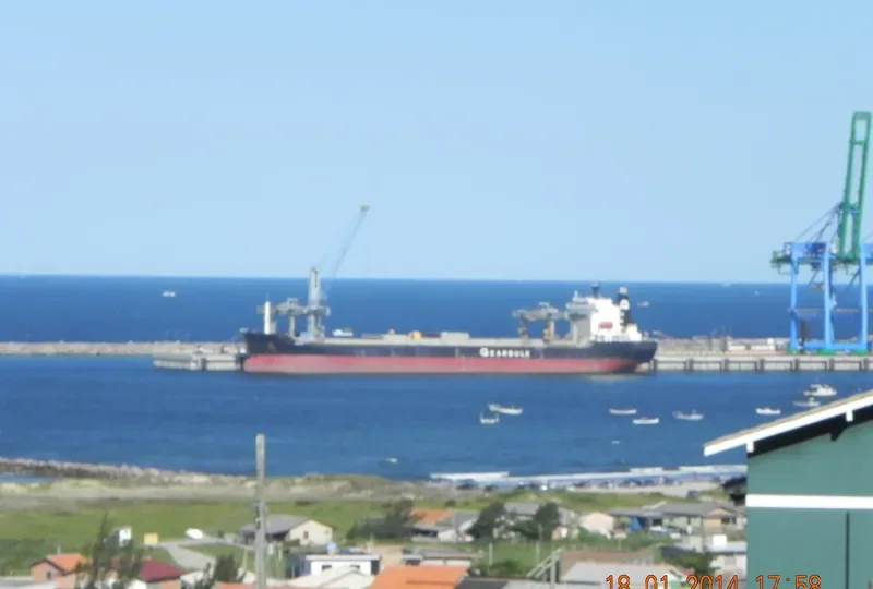 SAVANNAH PEARL General Cargo IMO 8316699 photo 7