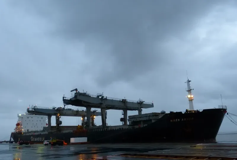 SAVANNAH PEARL General Cargo IMO 8316699 photo 10