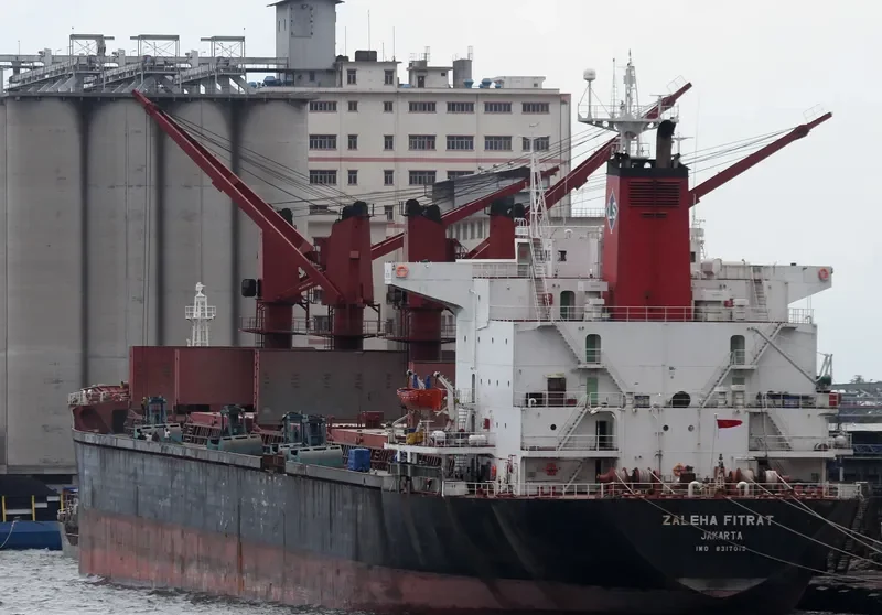 ZALEHA FITRAT Bulk Carrier IMO 8317019