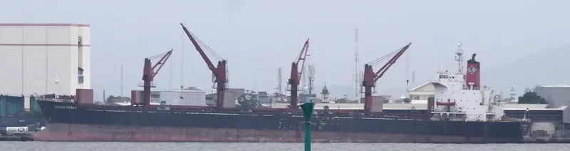 ZALEHA FITRAT Bulk Carrier IMO 8317019 photo 2