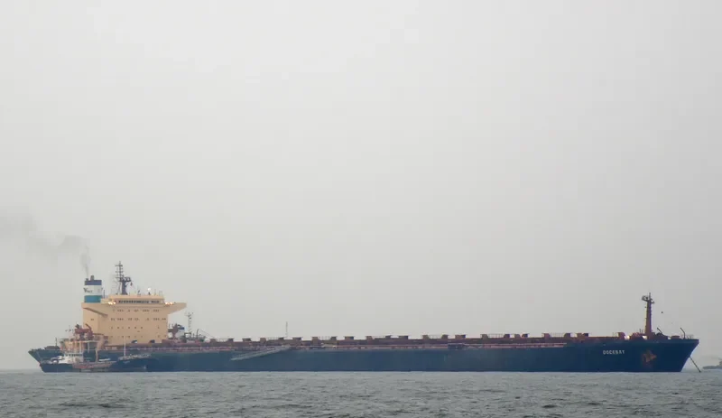DOCEBAY Bulk Carrier IMO 8317796 photo 5