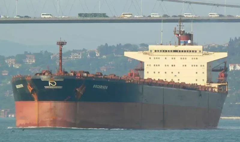 RIVER Bulk Carrier IMO 8317801