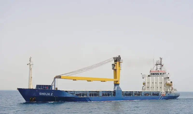 SHOJA 2 General Cargo IMO 8318075