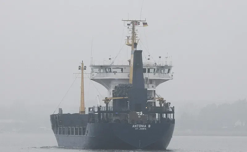 AMANY QUEEN General Cargo IMO 8318128 photo 2