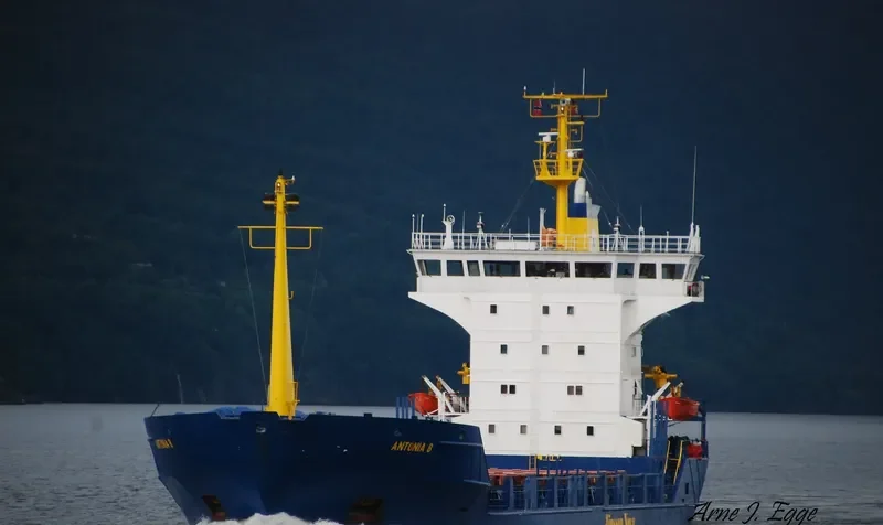 AMANY QUEEN General Cargo IMO 8318128 photo 9