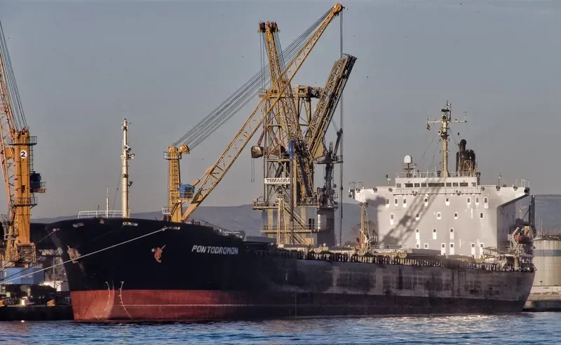 SHARMI Bulk Carrier IMO 8318702