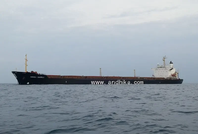 SHARMI Bulk Carrier IMO 8318702 photo 2