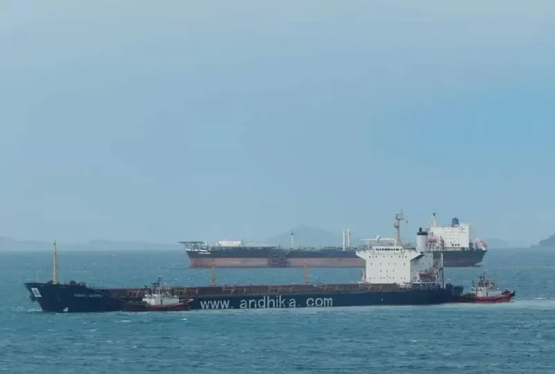 SHARMI Bulk Carrier IMO 8318702 photo 5