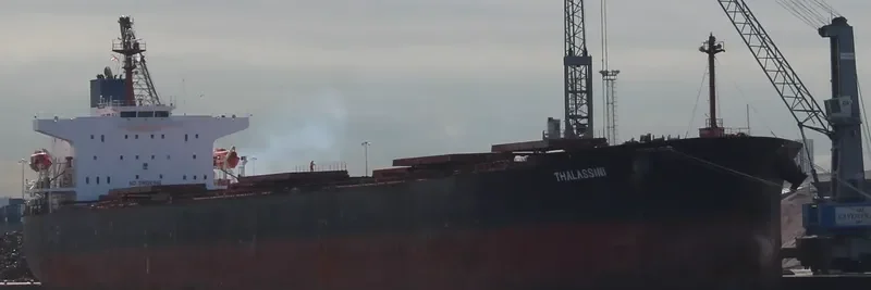 OCEAN LORD Bulk Carrier IMO 8318881 photo 2