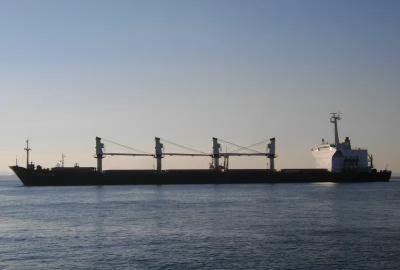 OCEAN LORD Bulk Carrier IMO 8318881 photo 4