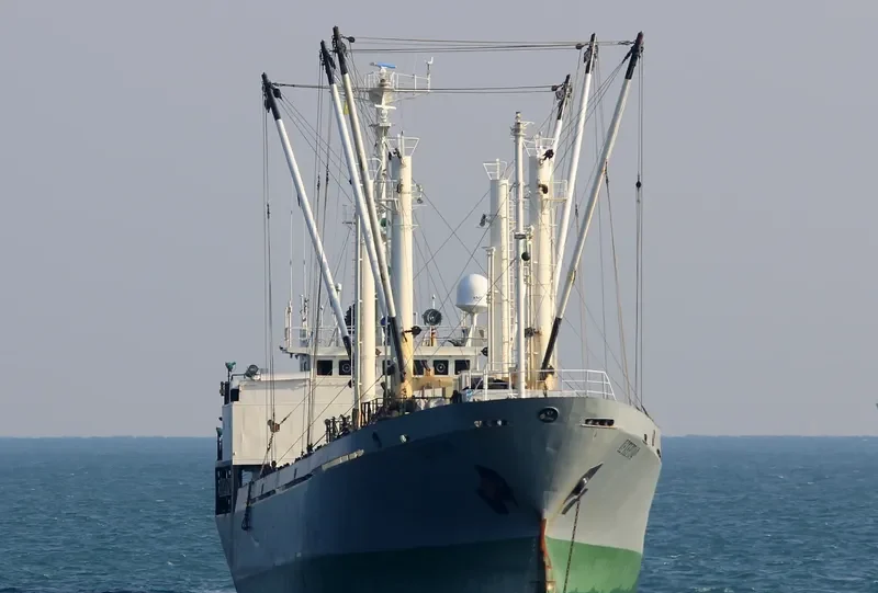 PETERGOF General Cargo IMO 8319184 photo 6