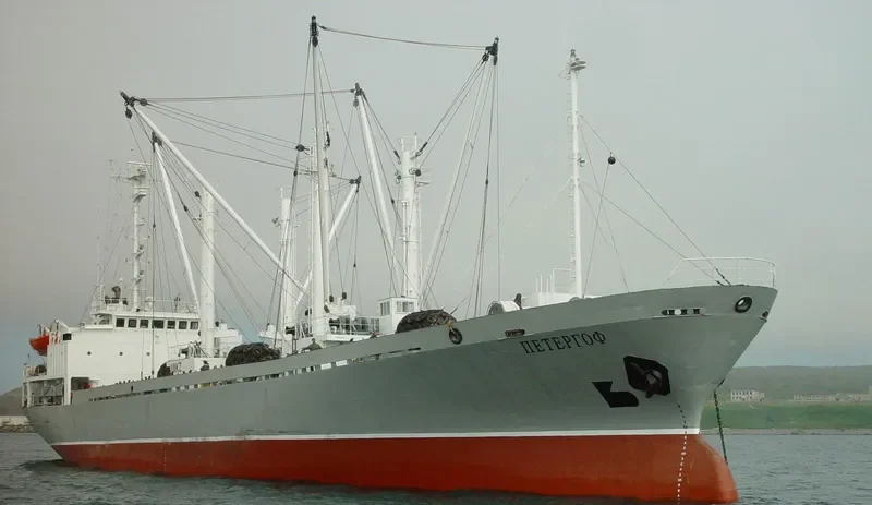 PETERGOF General Cargo IMO 8319184 photo 10