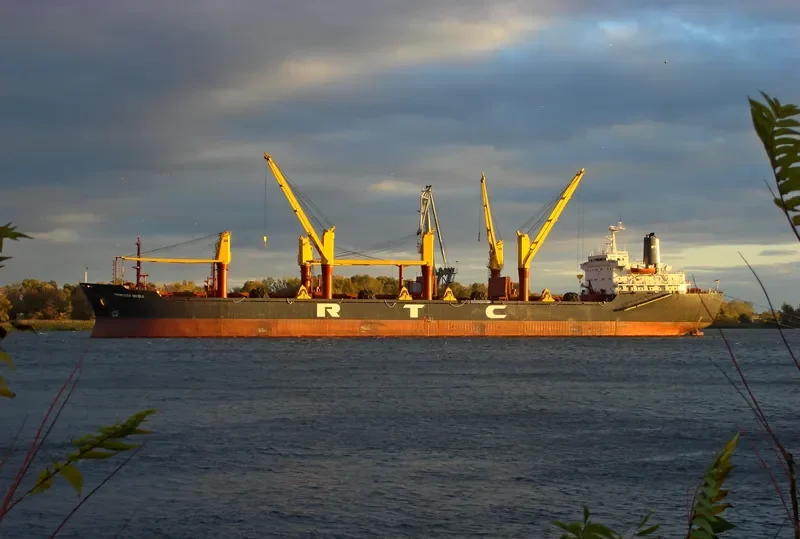 PRINCESS NICOLE Bulk Carrier IMO 8319392