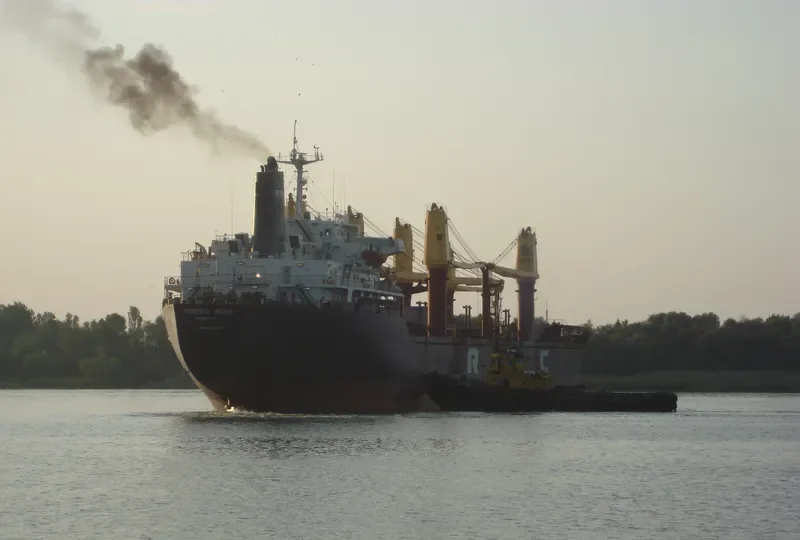 PRINCESS NICOLE Bulk Carrier IMO 8319392 photo 2