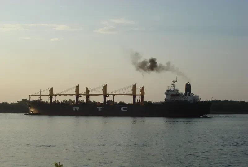 PRINCESS NICOLE Bulk Carrier IMO 8319392 photo 3