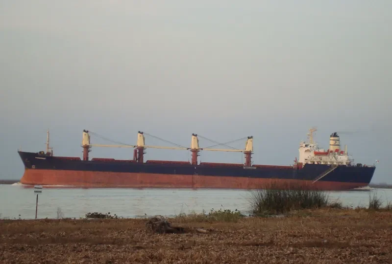 PRINCESS NICOLE Bulk Carrier IMO 8319392 photo 7