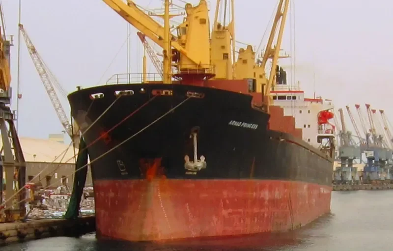 PRINCESS NICOLE Bulk Carrier IMO 8319392 photo 8