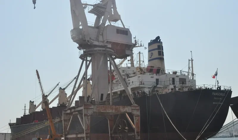 PRINCESS NICOLE Bulk Carrier IMO 8319392 photo 10