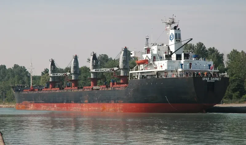 JADE SKY Bulk Carrier IMO 8319548 photo 2