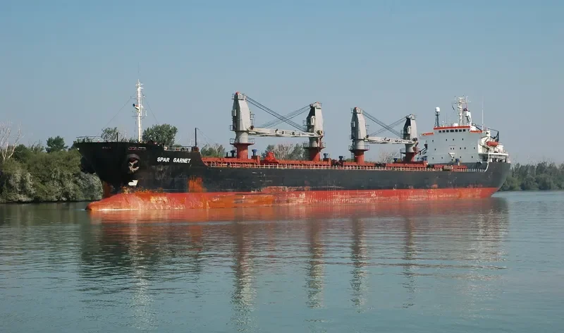 JADE SKY Bulk Carrier IMO 8319548 photo 3