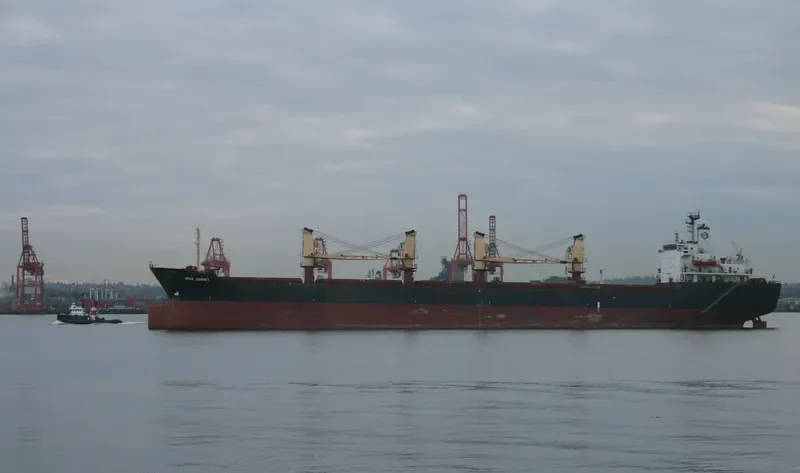 JADE SKY Bulk Carrier IMO 8319548 photo 4