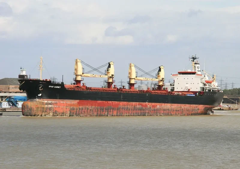 JADE SKY Bulk Carrier IMO 8319548 photo 5