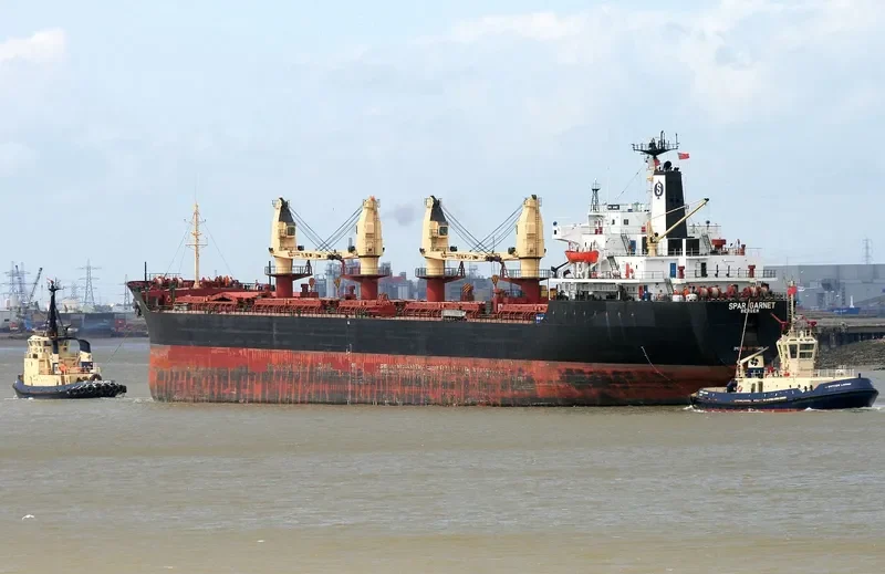 JADE SKY Bulk Carrier IMO 8319548 photo 6