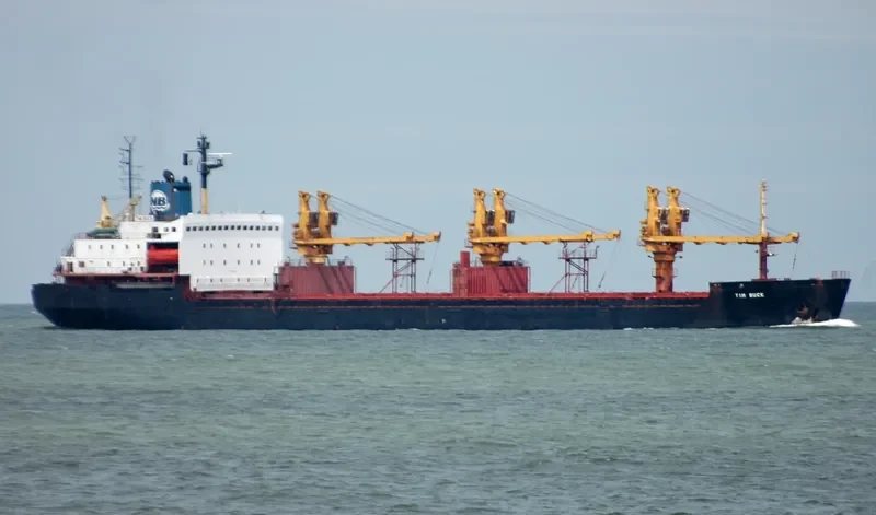 TIM BUCK Bulk Carrier IMO 8319861 photo 7