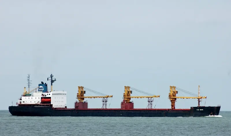 TIM BUCK Bulk Carrier IMO 8319861 photo 8